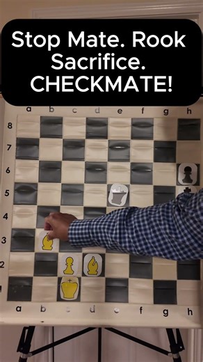 Stop Mate - Rook Sacrifice - Checkmate