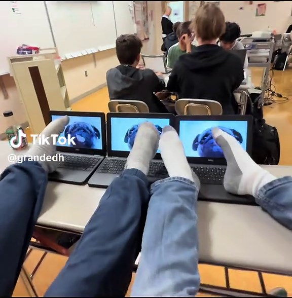 Exploring the Joys of Pugs in Everyday Life