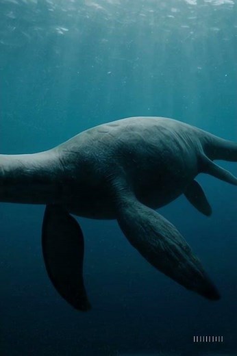 A Curious Plesiosaurus Looks Into the Camera｜#Plesiosaurus