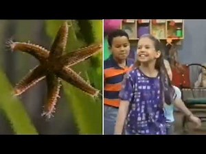 Barney's Talent Show Credits (2 Previews Of 1995 VHS) (Barney's Talent Show 1995 VHS) Screener