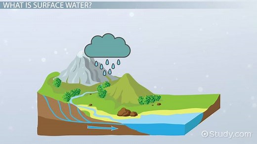 Surface Water | Definition, Properties & Examples