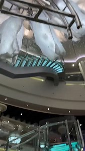 all ready for an exclusive meal in the Alaska cruise | Sona Tours