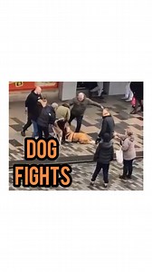 6.7K views · 25 reactions | To break up a dog fight, you must...