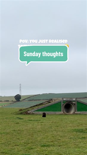 Exploring Dog Adventure Parks in Scotland