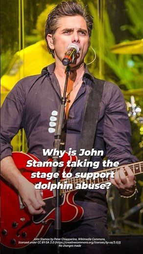 Yikes, John Stamos, SeaWorld? 😖