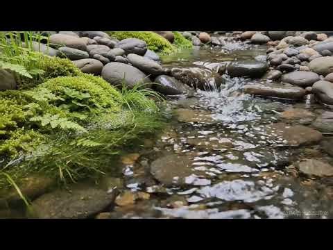 Relaxing Sounds for Inner Peace – Calming Ambience for Stress Relief