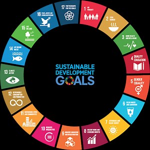 Everyone is starting to adopt the UN SDG framework, but how can you effectively track your efforts against it?