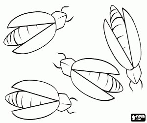 Fireflies, insects coloring page printable game
