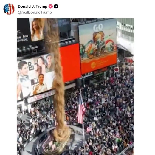 Trump is fucking hilarious 🤣🤣🤣🤣🤣🤣🤣 #NoKings | Revenge of the Smirk