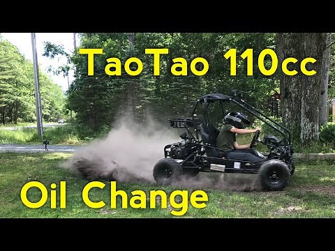 TaoTao 110cc Engine Oil Change.