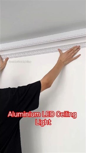 Aluminium LED Ceiling Light#lamp #light #led #lightingdecor #homedecor