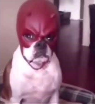 Oh can you see into my eyes