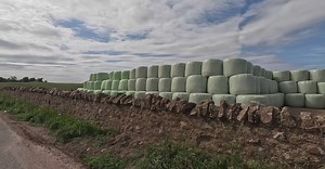 Pexels Travelling Tourist视频