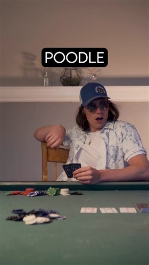 Poker night with the boys #dogbreeds #dogbreedsoftiktok #dogs #dogsofttiktok