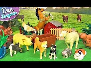 10 Farm Animals Incredible Facts - Pig, Cow, Sheep, Chicken