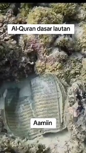 591K views · 45K reactions | When accidents happen, car insurance...