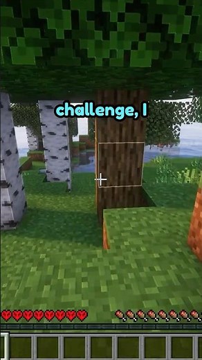 Minecraft but I’m STRANDED on an ISLAND