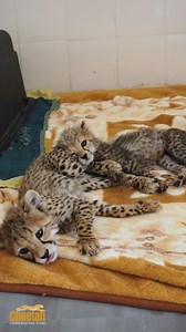 19K views · 1.9K reactions | It’s T–Swift Tuesday! Everyone who knows...