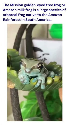 This Frog Produces ‘Milk’ When Stressed?! 😳🐸🥛 | Easy Science Lessons