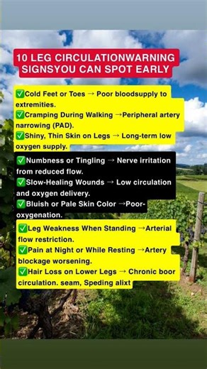 10 Early Leg Circulation Warnings You Can Spot TODAY – Ignore These & Risk Amputation!