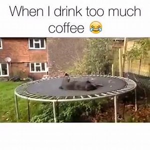 472K views · 5.2K shares | The world is my trampoline | Ownage Pranks | Facebook