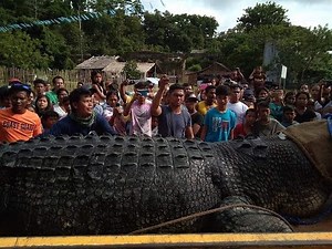 WORLD'S LARGEST CROCODILE SPOTTED IN RIZAL PALAWAN