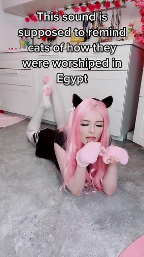 Rainbowkitty on TikTok