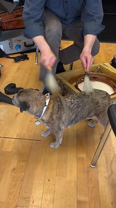 456K views · 10K reactions | Masajes jazz  | Back Beat | Facebook