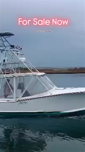Some boats chase trends. Others define them. This 1987 Palm Beach 30 Express is one of those rare builds that still stops people in their tracks. Hand-laid, plank-on-frame craftsmanship. Timeless Carolina lines. A presence you don’t see coming—and can’t stop looking at once it arrives. This isn’t just a boat, it’s a reminder of how they used to be built. Solid. Purposeful. Beautiful for all the right reasons. Powered by a reman CAT 3208 with just 405 hours, updated where it matters and preserved