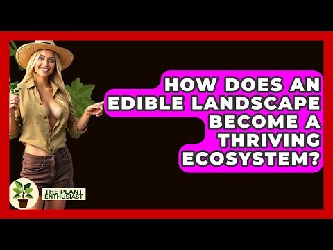 How Does An Edible Landscape Become A Thriving Ecosystem? - The Plant Enthusiast