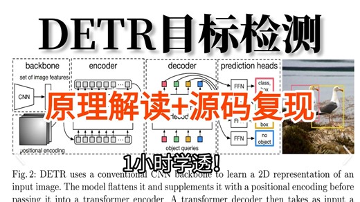 【DETR目标检测】保姆级教程！1小时带你吃透基于Transformer的目标检测算法，手把手教你训练自己的数据集！附完整数据集！全篇通俗易懂！-AI深度学习