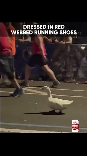 Wrinkle The Duck Runs At New York City Marathon Again