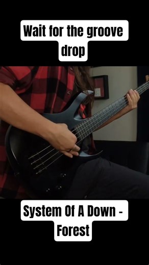 This System of a Down Groove is Wild