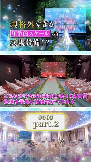 part２【ポップコーン神戸】徹底調査#003 × POPCORN KOBE