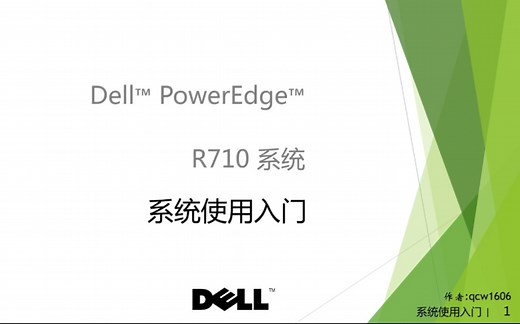 戴尔 Dell PowerEdge R710 服务器 系统使用入门教程