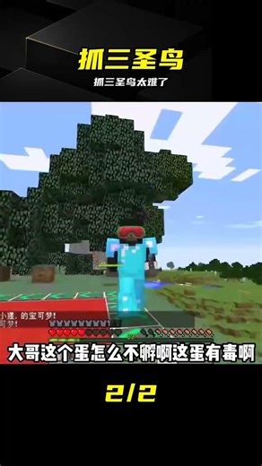 抓捕三圣鳥難度飆升，操作失誤直接炸裂！ #我的世界神奇宝贝 #抓三圣鸟 #难度飙升 #挑战 #高难度