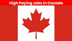 Top Paying Professions in Canada: Roles & Salaries