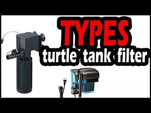 Types of Filters for Turtle Tank (Must Watch for Turtle Owners)