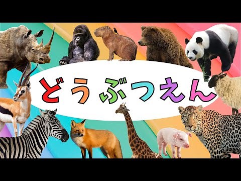 動物園へ行こう！いろんな どうぶつ 大集合♪動物の名前 を覚えよう★動く実写動画zoo animals #2