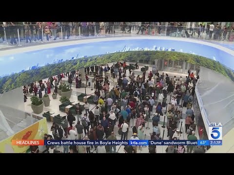 President Trump says he'll sign emergency order to pay TSA agents - is it legal?