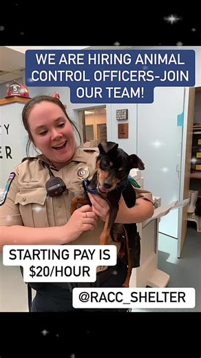 12K views · 140 reactions | Richmond Animal Care and Control is hiring for 2 new Animal Control Officer positions! Email cover letter and resume to Christie.peters@rva.gov to get started! #weareyourcityshelter | Richmond Animal Care & Control | Facebook