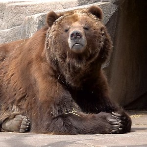 263K views · 10K reactions | Mornings...right?  | Milwaukee County Zoo | Facebook