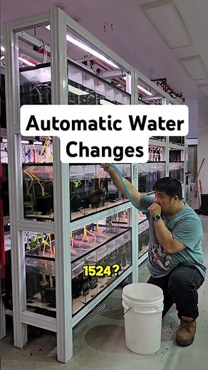 Automate Your Aquarium Water Changes #aquariumhobby #waterchange #fishkeeping