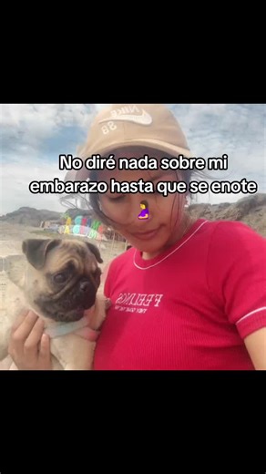 Embarazo en Secreto: Esperando el Momento Perfecto