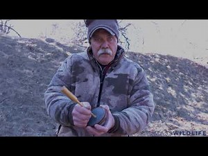 Turkey Calling Basics