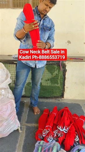 Cow Neck Belt Sale in Kadiri Ph-8886553719 #cowaccessories