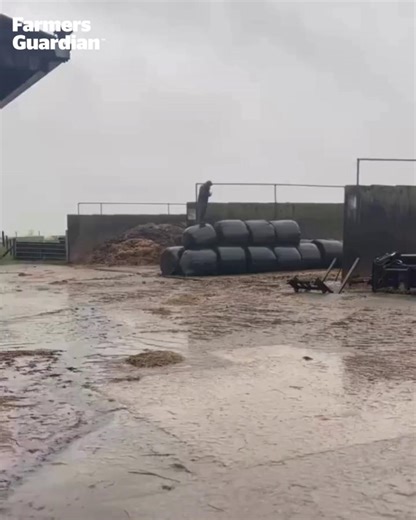 Farmers know the struggle! 😅📱 Even worse when you’re trying to get hold of someone… and they’re out on the farm. 🤦 🎥 moo2you | Farmers Guardian