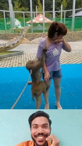 11K views · 48 reactions | The monkey tore the girl's shirt 勞 . . #usamonkey #usafunny #usareels #usaviral #monkey #monkeylove #unitedstates | Gyanendra Chaudhary | Facebook