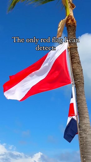 I’ve shown this meme to my therapist and she didn’t laugh 🥲 #diving #scuba #scubadiving #dive #diver #divers #scubadive #scubadiving #scubadiver #scubadivers #liveaboard #liveaboarddiving #liveaboardlife #divingflag #scubalove #scubalover #scubalovers #scubalife #scubaworld #oceanlove #oceanlover #oceanlovers #ocean #oceans | LiveAboard.com