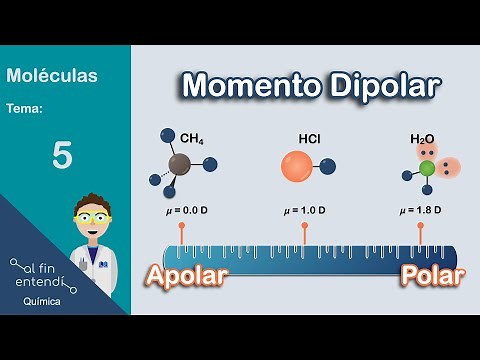 ¿Cómo determinar la POLARIDAD de las moléculas?